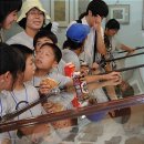 나비뜰지역아동센터 이미지