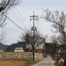 효석문학100리길 제5-1구간 이미지