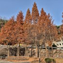 반룡산공원 | [김해 가볼만한곳]가을분위기 물씬 독특한 구조 반룡산공원