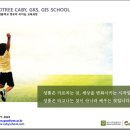 캐비스쿨