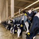 동선축사 이미지