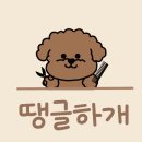 땡글하개 이미지