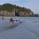 임자만났네마을 이미지