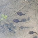 주안철물점