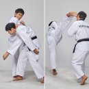 예전태권도 이미지