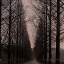 창평약국 이미지