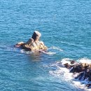 대왕암솔바람길 이미지