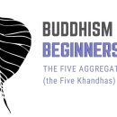 (영어+불교교리) Lesson 7: THE FIVE AGGREGATES (the 5 Khandhas) 오온, 존재의 다섯 요소 이미지