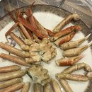 영덕수산시장 이미지