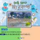 꽃보라