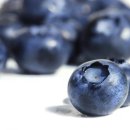 생생메디컬 이미지