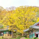 토가식당 이미지