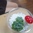 합포여자중학교