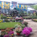 식물나라화원 이미지
