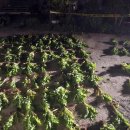 해경주택 이미지