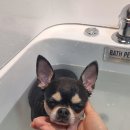 스테이 그리다 이미지