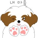 덴탈이유 이미지