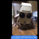 새길상사