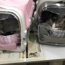레오나오 - 마포구 월드컵북로 179 | 레오나오
