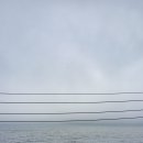 2박 3일 #울릉도여행 (후기입니다)