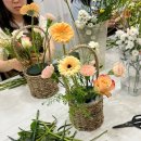 5월 4주차 레몬&피치 꽃바구니 클래스 후기 - 강남 플라워클래스 스노우폭스플라워