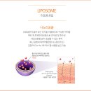 인셀덤 구미 뷰티 대리점