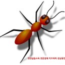 개미유치원 이미지