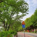 광교산공영자전거대여소(버스종점) 이미지