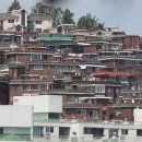 강서구-74 이미지