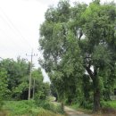 오성산단로 이미지