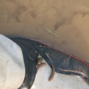 평사낚시터 이미지