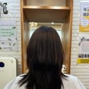 헤어코코 이미지
