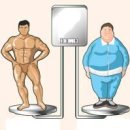 비만도 계산법 신장에 따른 표준몸무게 계산 방법 이미지