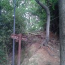 상무초교 이미지