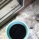 베어스냅