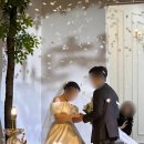 엘리스 호텔 | AW호텔 웨딩 앨리스홀 결혼식 하객 입장 솔직 후기 | 스몰웨딩 추천