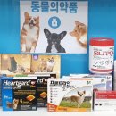 강남하트약국 이미지