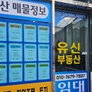 세마전문부동산공인중개사사무소 | 동아대원룸 전문 하단부동산 후기 - 유신공인중개사사무소