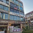 다보참치 이미지