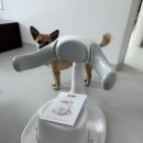 두리환경 | [육아] 두리 안전 샤워 목욕핸들 내돈내산 후기