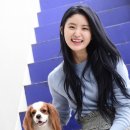 모카펫 이미지
