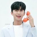 청년피자 - 구미시 신시로18길 5-2 | 청년피자