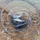 동산낚시터 이미지