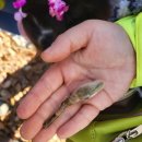 경운공원 이미지