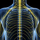 수정갈비 이미지