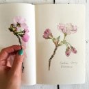 보테니컬 일러스트 이미지