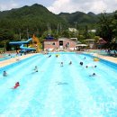 천동물놀이장 이미지