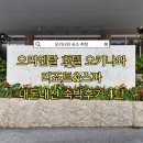 류호텔 | 숙소 추천 오리엔탈 호텔 오키나와 리조트&amp;스파 숙박 후기 4탄 조식 류빙카(지난보) 오키나와식 뷔페
