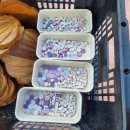 고촌초병설유치원 이미지