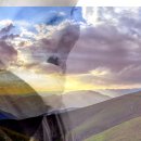 허치과의원 이미지